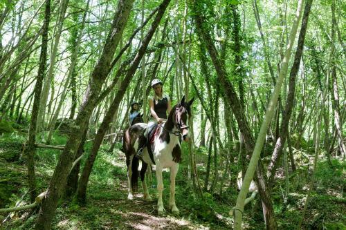 Agroturismo Borgo Pignano