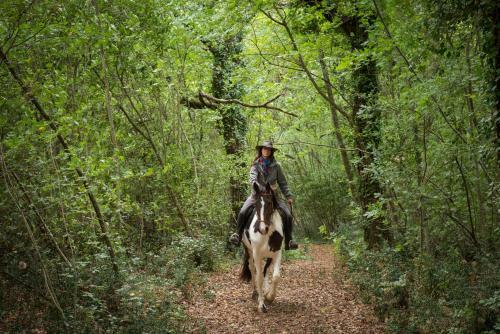 Agroturismo Borgo Pignano