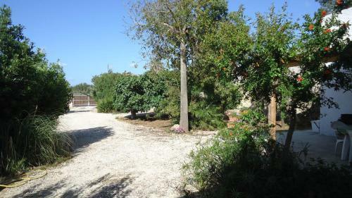 Casa Vacanza "dal Picciotto"