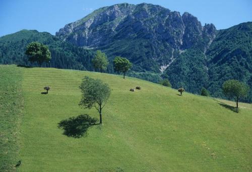 Hotel Albergo Belvedere