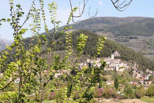 House La Quiete By Holiday World