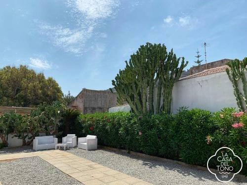 Bed & Breakfast La Casa Del Tono