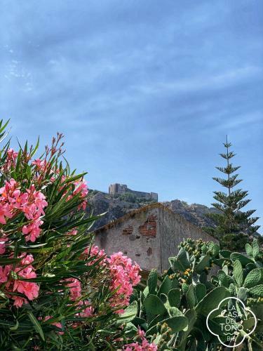 Bed & Breakfast La Casa Del Tono