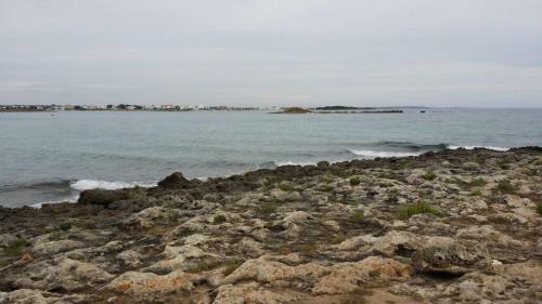 Hostal Salsedine