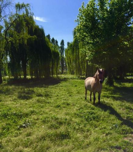 Agroturismo Agriturismo Dei Ciliegi