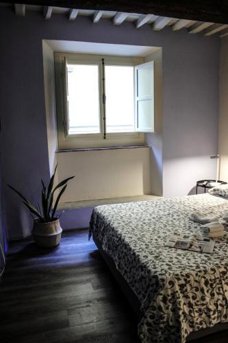 Luccastay Luxury Apartments 1899