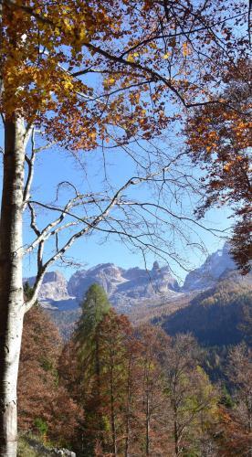 Chalet Brenta Dolomites