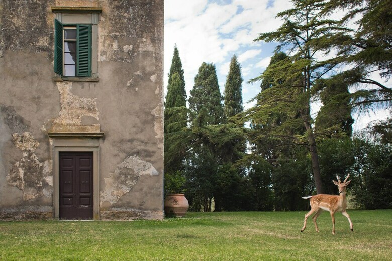 Agroturismo Tenuta Di Poggio Cavallo