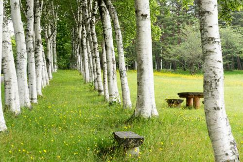 Hachimantai Mountain Hotel & Spa