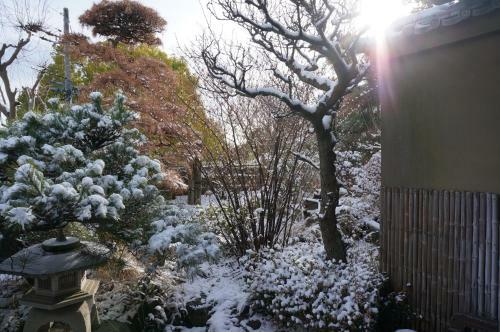 Atelier Bee's Knees Bed & Breakfast