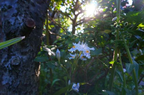 Atelier Bee's Knees Bed & Breakfast
