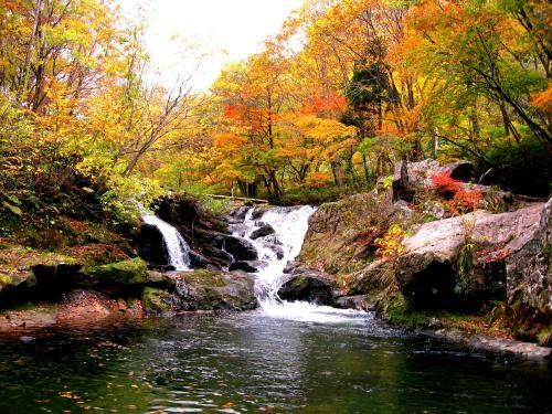 Hotel Oshuku Onsen Kagasuke