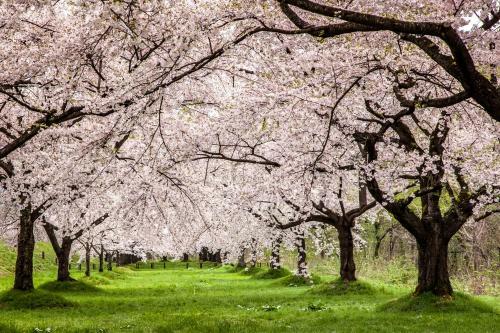 Hotel Oshuku Onsen Kagasuke