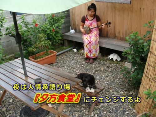 Hostal Amami Guest House Showa-so