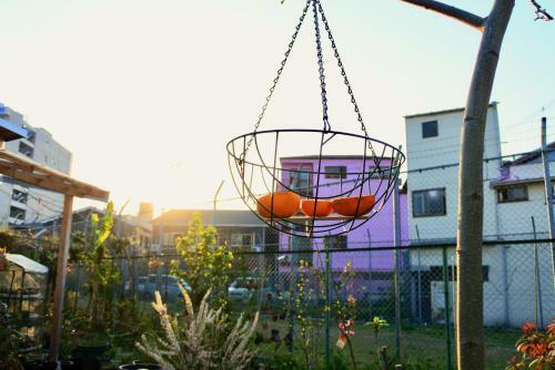 Hostal Cocoroom Cafe Garden Guest House