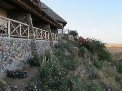 Lion Hill Safari Lodge