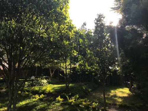 Hostal Jari Inn And Bistro