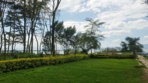Hotel Hippo Safaris Resort