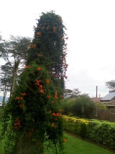 Hotel Hippo Safaris Resort