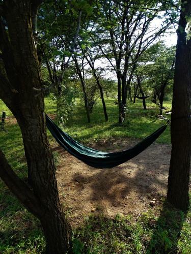 Oseki Maasai Mara Camp