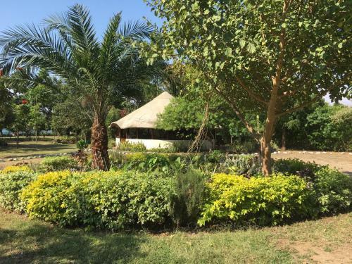 Hotel Wayando Beach Eco Lodge