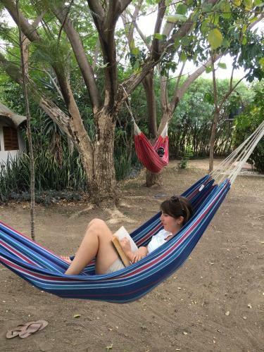 Hotel Wayando Beach Eco Lodge