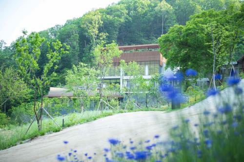 Hotel Healience Villeage