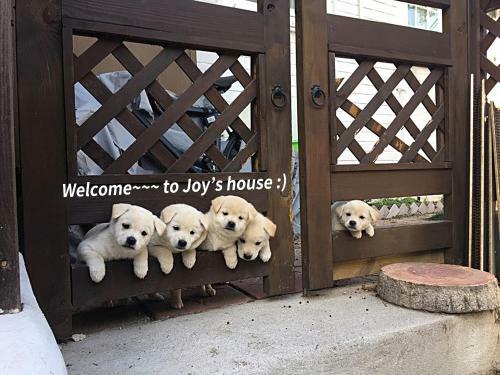 Bj- 7 Free Services With Cozy Home