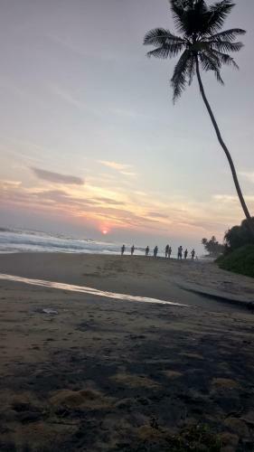 Green Villa Beach And Juice Bar