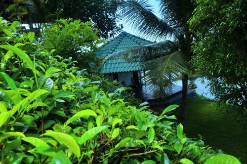 Bed & Breakfast Jungle Heart Cabanas