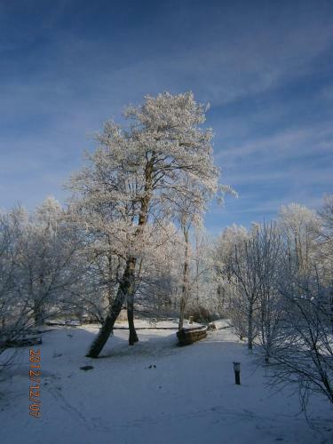 Agroturismo Pakaln?s Vingis