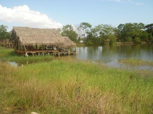 Mama Daisy's Homestay Rekawa.