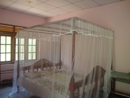 Mama Daisy's Homestay Rekawa.