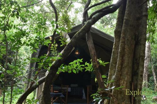 Hotel Explorer By Mahoora - Wasgamuwa ( All-inclusive)