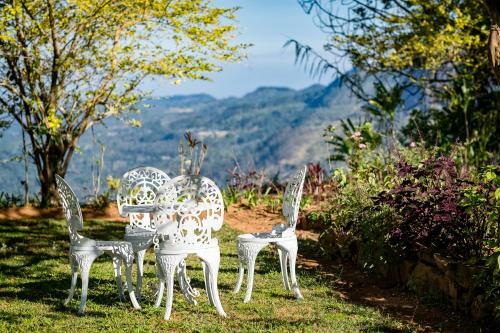 Agroturismo Highgrove Estate