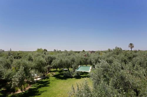 Villa Jardin Bleu By Sejour Maroc