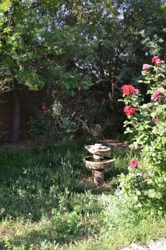 Agroturismo Salma Palm's Ferme D'h�tes