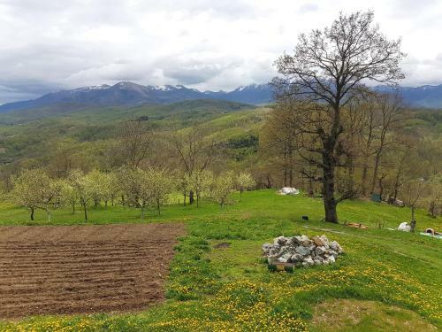 Lodge Country House Montenegro