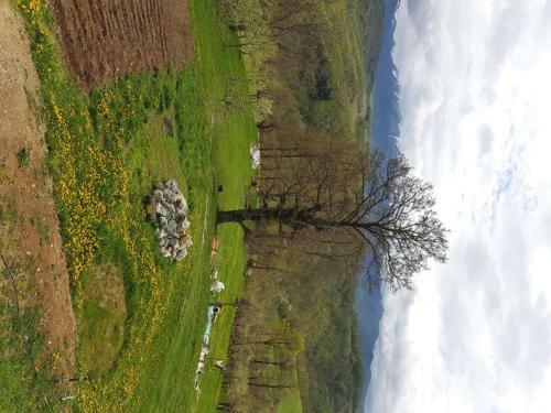 Lodge Country House Montenegro