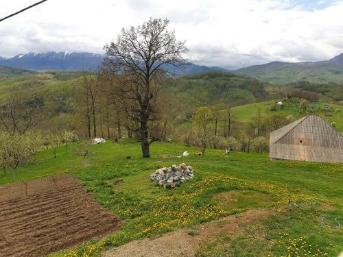 Lodge Country House Montenegro