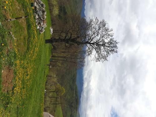 Lodge Country House Montenegro