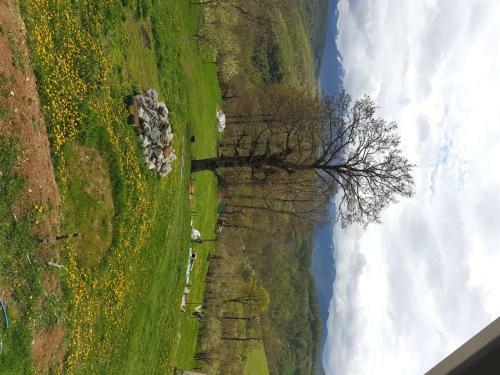 Lodge Country House Montenegro