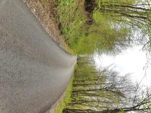 Lodge Country House Montenegro