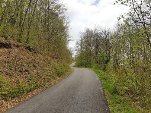 Lodge Country House Montenegro