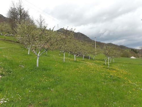 Lodge Country House Montenegro