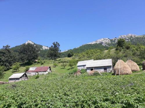 Lodge Country House Montenegro