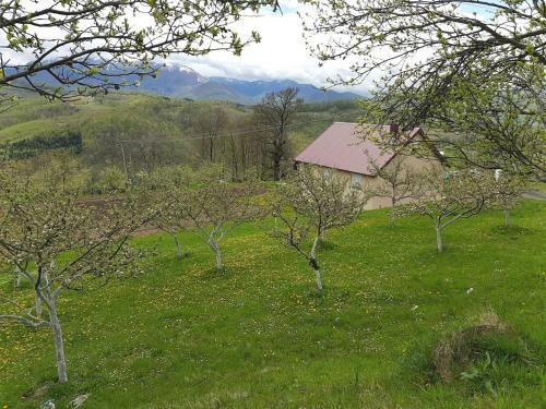 Lodge Country House Montenegro