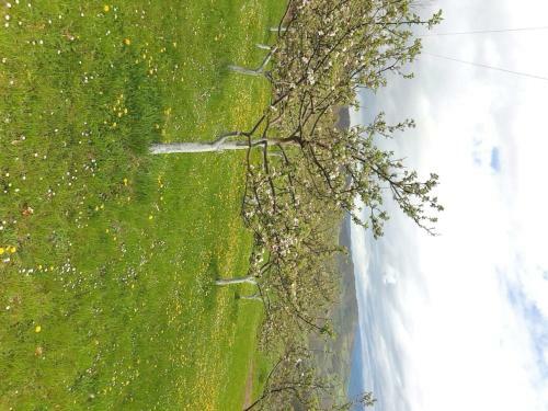 Lodge Country House Montenegro