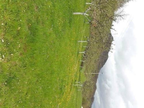 Lodge Country House Montenegro