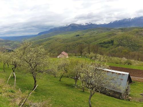 Lodge Country House Montenegro